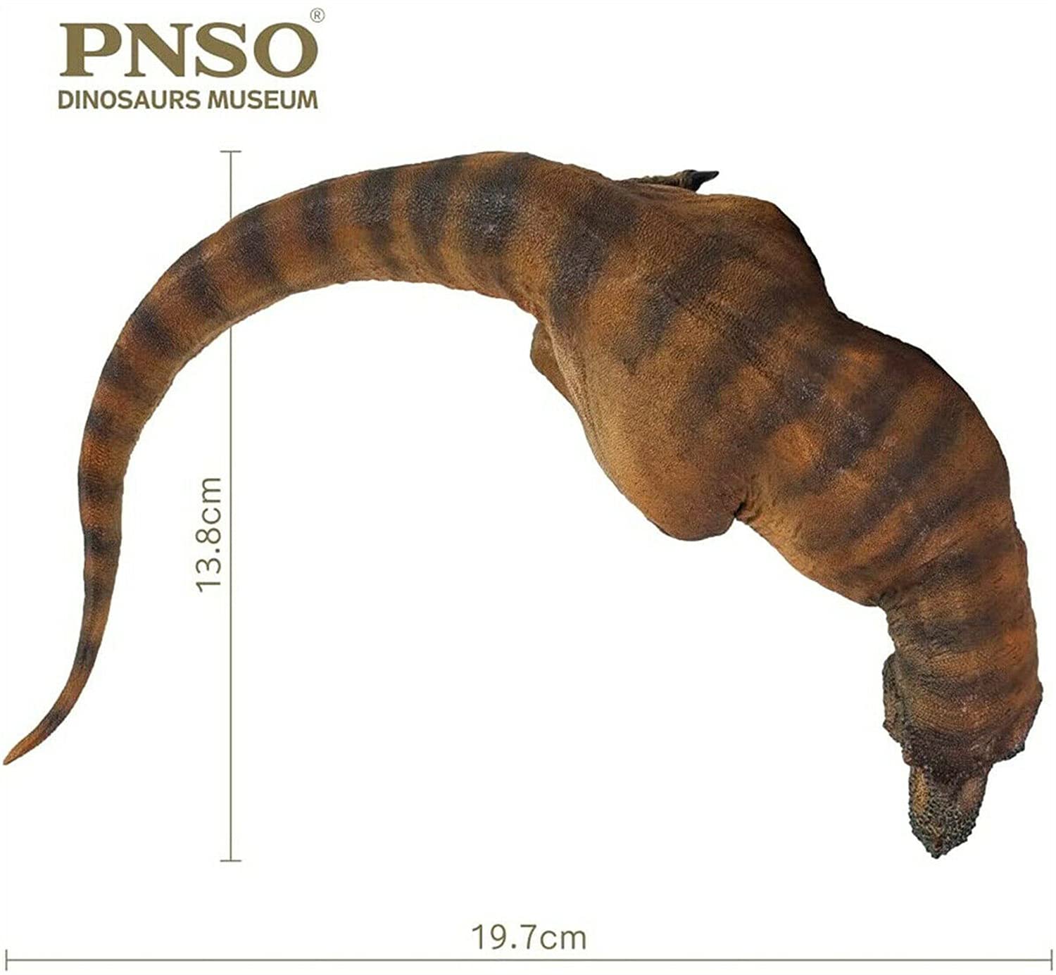 Amazon.co.jp: PNSO 1/35 サイズ ティラノサウルス 恐竜博物館 動物