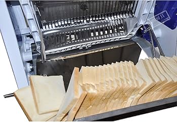 61RM4DOUh9L._AC_UF350,