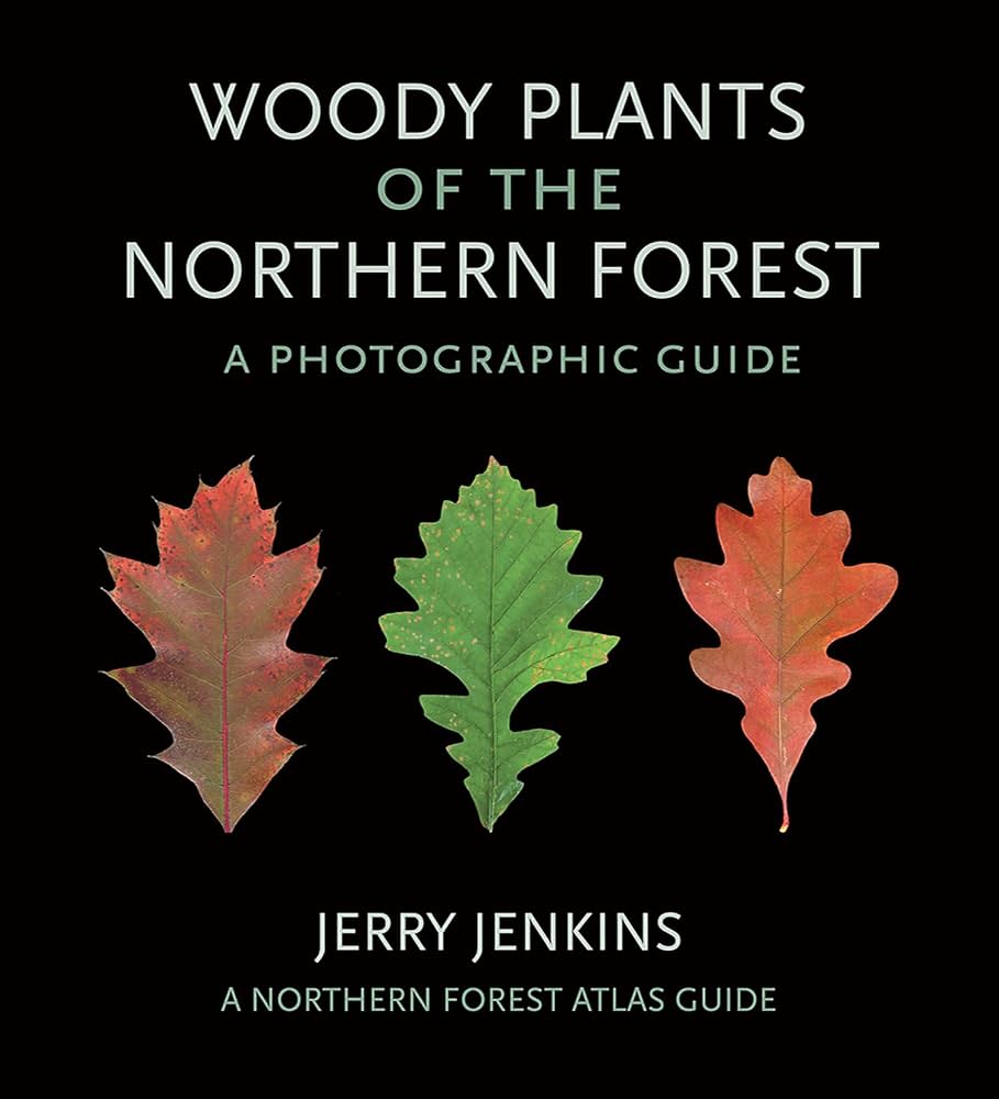 Woody Plants of the Northern Forest: A Photographic Guide (The