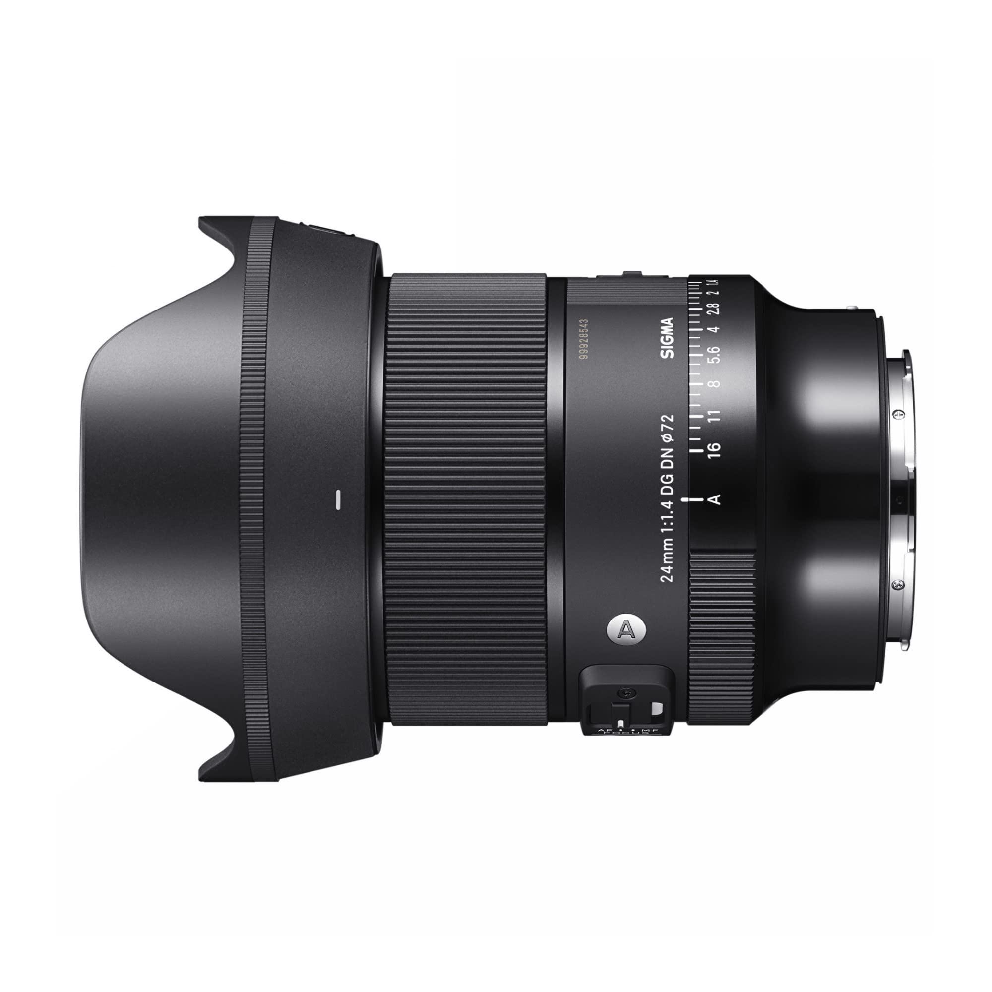 Amazon.com : Sigma 24mm F1.4 Art DG DN Lens for L Mount : Electronics