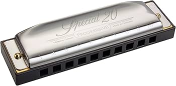 Amazon.com: Hohner 560PBX Special 20 Harmonica, Key of G Sharp