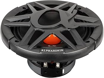 61RuPw-zbWL._AC_UF350,