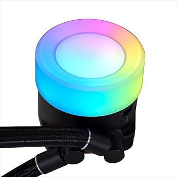 61SLzN1TmkL._AC_UF350,