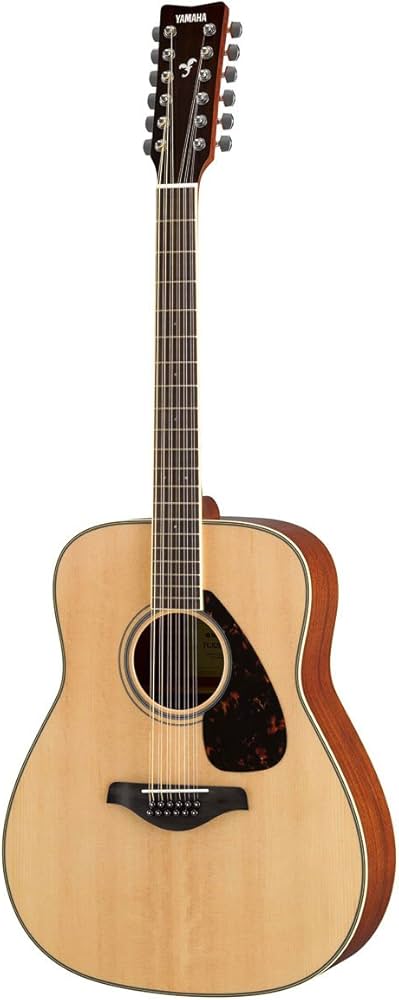 Yamaha FG820 12-String Acoustic Guitar : Amazon.ca: Musical