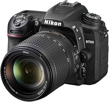 Amazon.com : Nikon D7500 Camera Body with 18-140 mm VR Digital