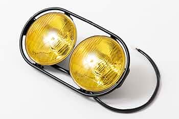 61UfJagnosL._AC_UF350,