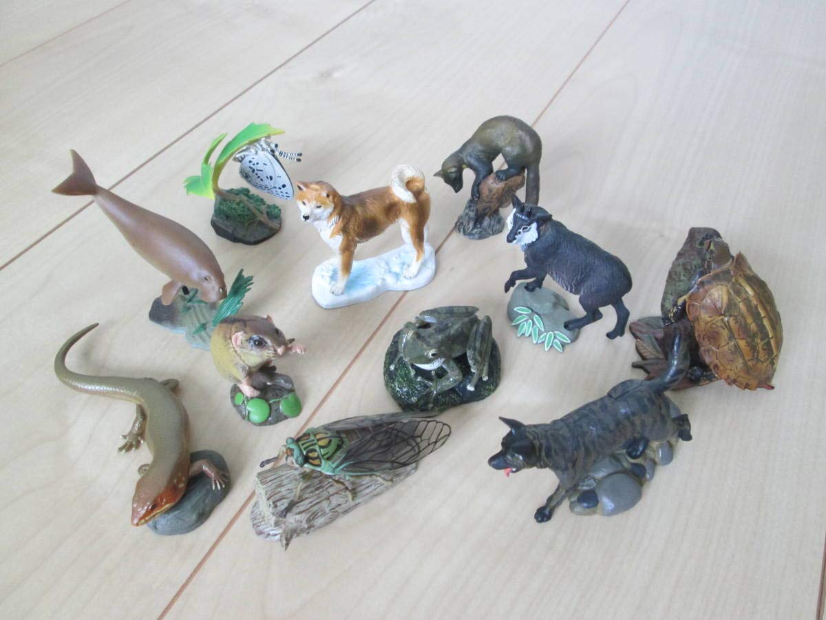 Amazon | 海洋堂 週刊日本の天然記念物フィギュア全種コンプリート+