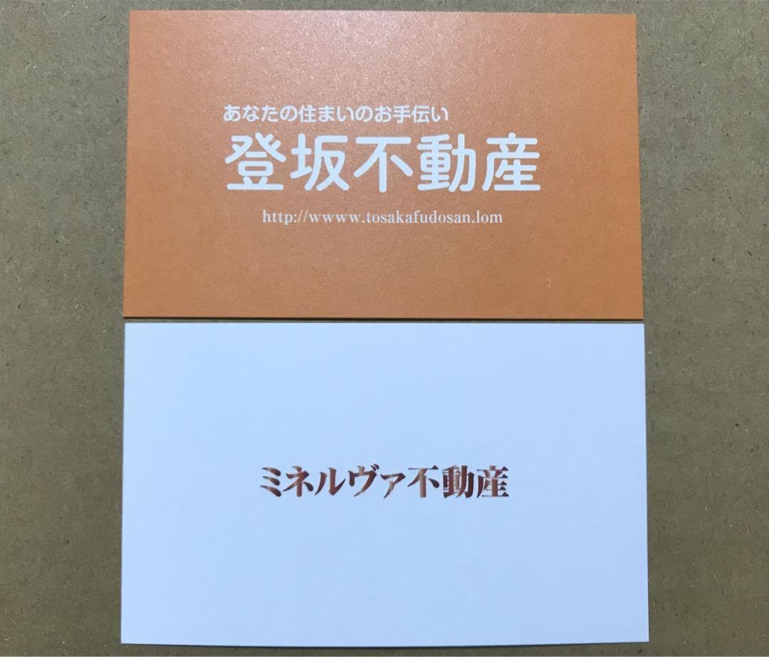 Amazon.co.jp: 正直不動産 名刺 2枚 セット コミックノベルティ