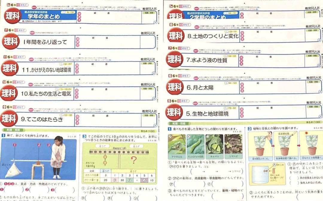 Amazon.co.jp: 小学6年 カラーテスト 理科 2学期 3学期 後期 大日本