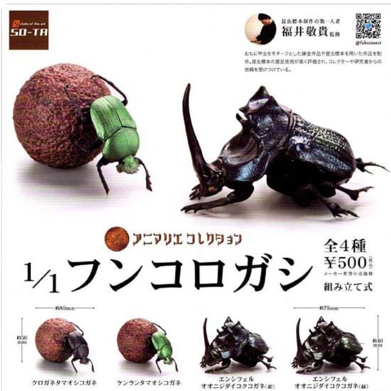 Amazon | アニマリエコレクション 1/1 フンコロガシ 全4種類 リアル