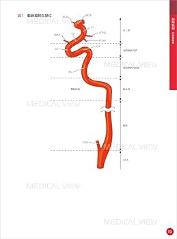 脳血管内治療 スタート&スタンダード | 吉村 紳一 |本 | 通販 | Amazon