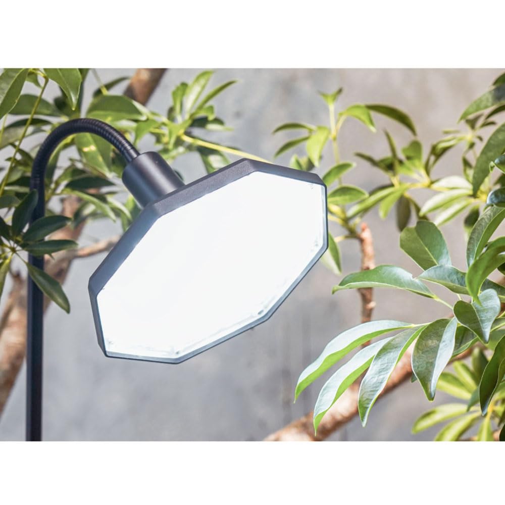 Amazon.co.jp: 【BARREL公式】ROKI-Octagon-50W ブラック 植物育成