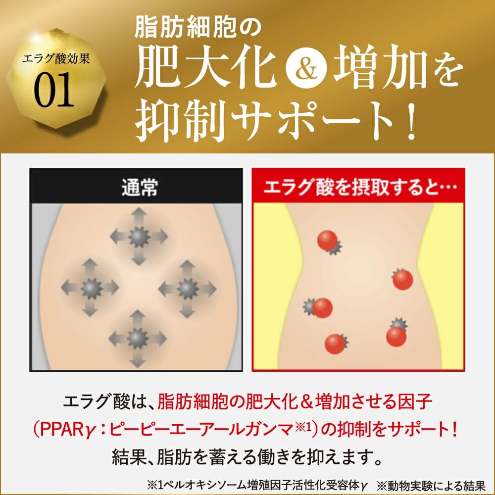 Amazon | 【公式】倖田來未 完全プロデュース キラーバーナー 2 機能性