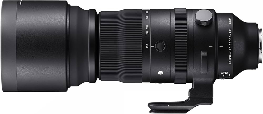 Amazon.co.jp: Sigma Lens 150-600mm F5-6.3 DG DN OS Sony E-Mount