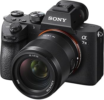 Amazon.com : Sony FE 35mm F1.8 Wide-Angle Prime Lens (SEL35F18F