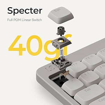 Amazon.co.jp: Lofree Specter ロープロファイル POMスイッチ 40g