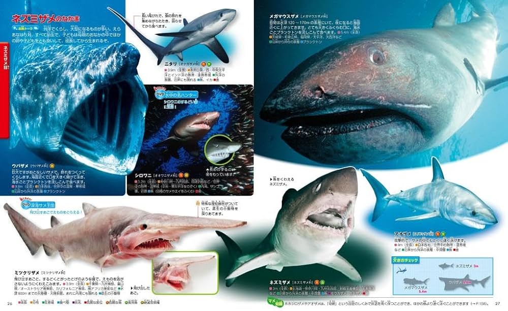 魚 新訂版 (講談社の動く図鑑MOVE) | 講談社, 福井 篤 |本 | 通販 | Amazon