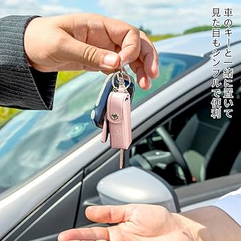 Amazon.co.jp: Voyyphixa リップケース 口紅ケース 2色セット ミニ