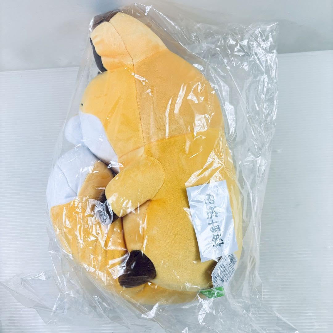 Amazon.co.jp: 、 タヌキとキツネ もちっとぬいぐるみ ロフトネット