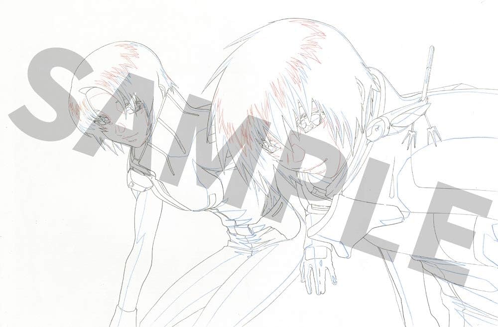 Amazon.co.jp: 『機動戦士ガンダム SEED HDリマスター』新作カット原画