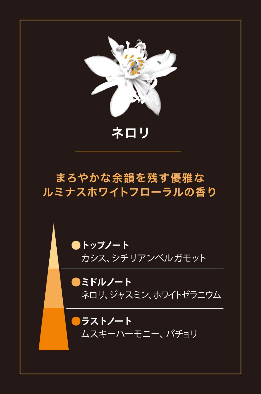 Amazon.co.jp: エステバン ネロリ スティック 40本 お香 香立て付 イン