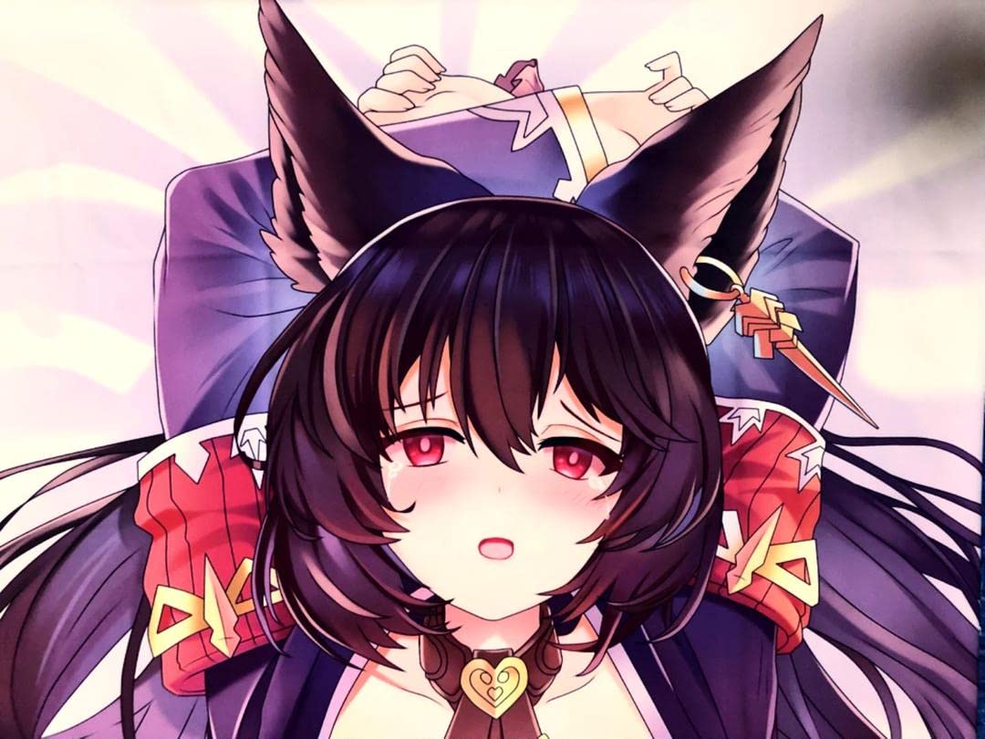 Amazon | グランブルーファンタジー ニーア 抱き枕カバー | アイドル