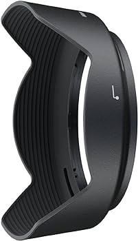 Amazon.com : Nikon 24-120mm f/4G ED VR AF-S NIKKOR Lens for Nikon