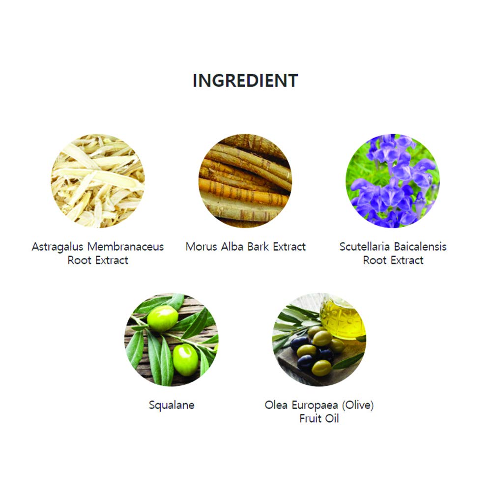 Amazon.co.jp: ルビーセルエアブラシシステム用RUBY-CELL独自の集中型