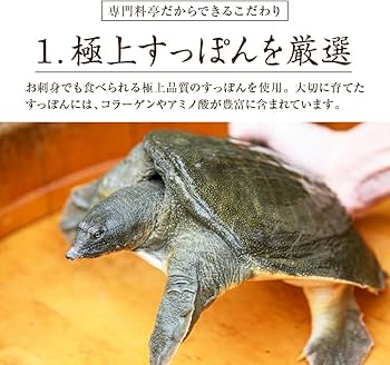 Amazon | 公式 すっぽんの恵み プレミアム サプリメント 約1ヶ月分 (62