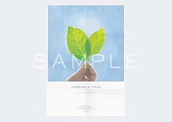 Amazon.co.jp: PERFECT DAYS 豪華版5枚組BOX【UHD＋Blu-ray＋DVD