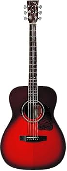 Amazon | S.Yairi ヤイリ Traditional Series アコースティックギター