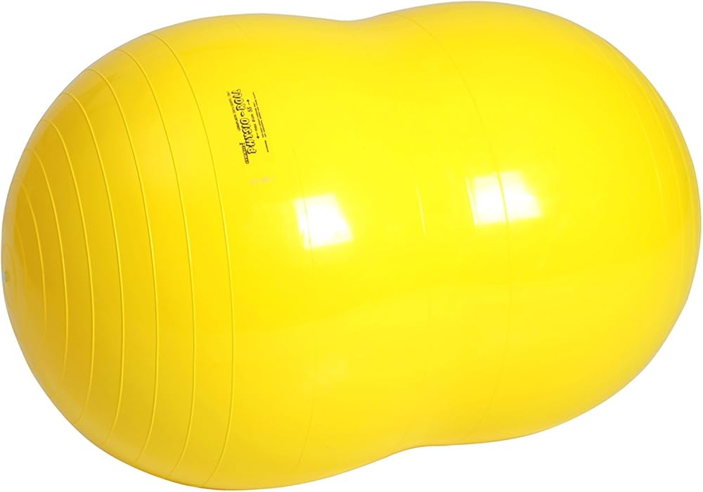 ギムニク GYMNIC フィジオロール 直径85cm フィジオロール – 株式会社