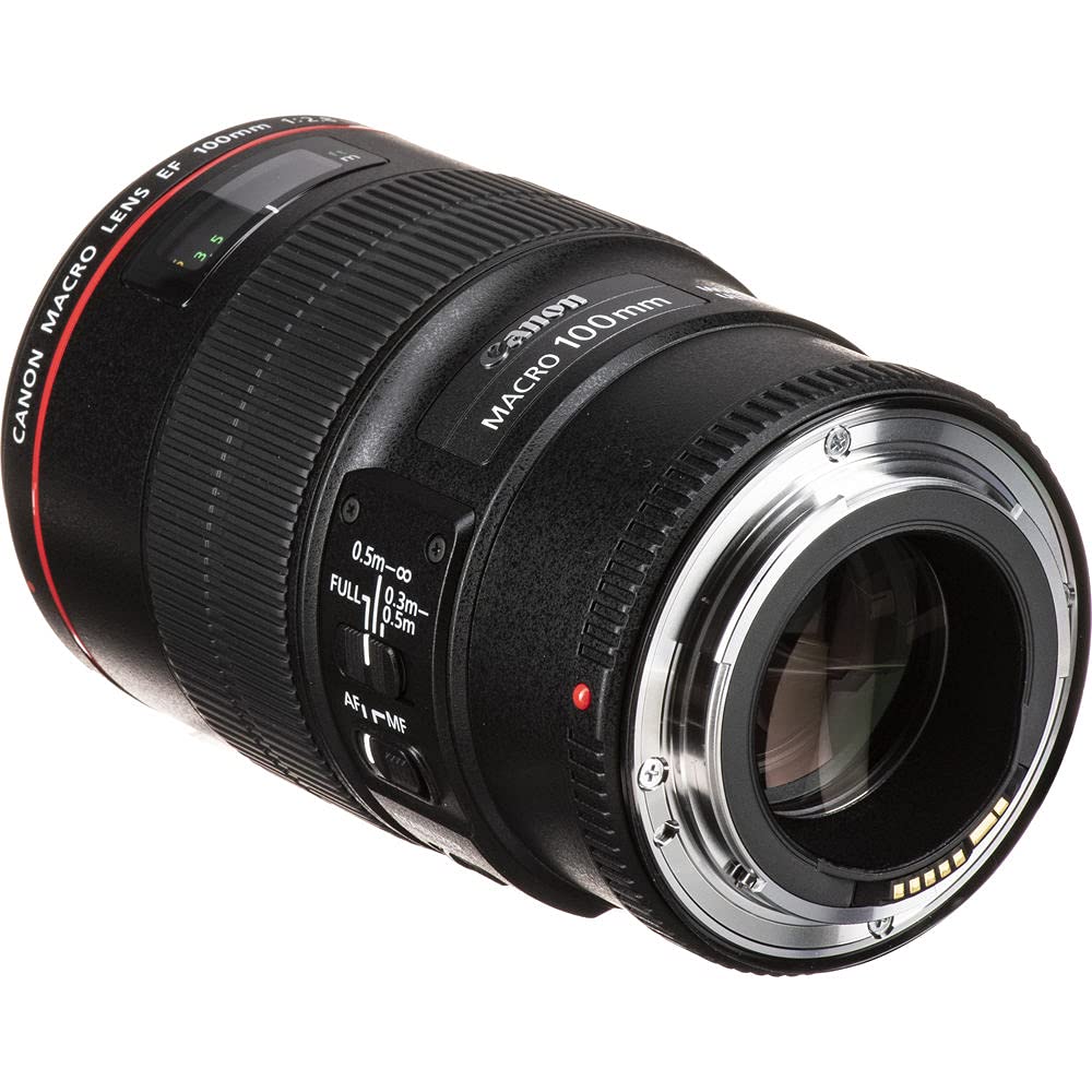Amazon.com : Canon EF 100mm f/2.8L Macro is USM Lens (3554B002