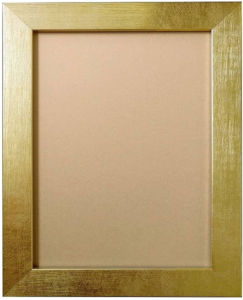 Amazon.co.jp: アルナ 油縁 ボックス 油彩 樹脂 額縁 「ダブルフレーム