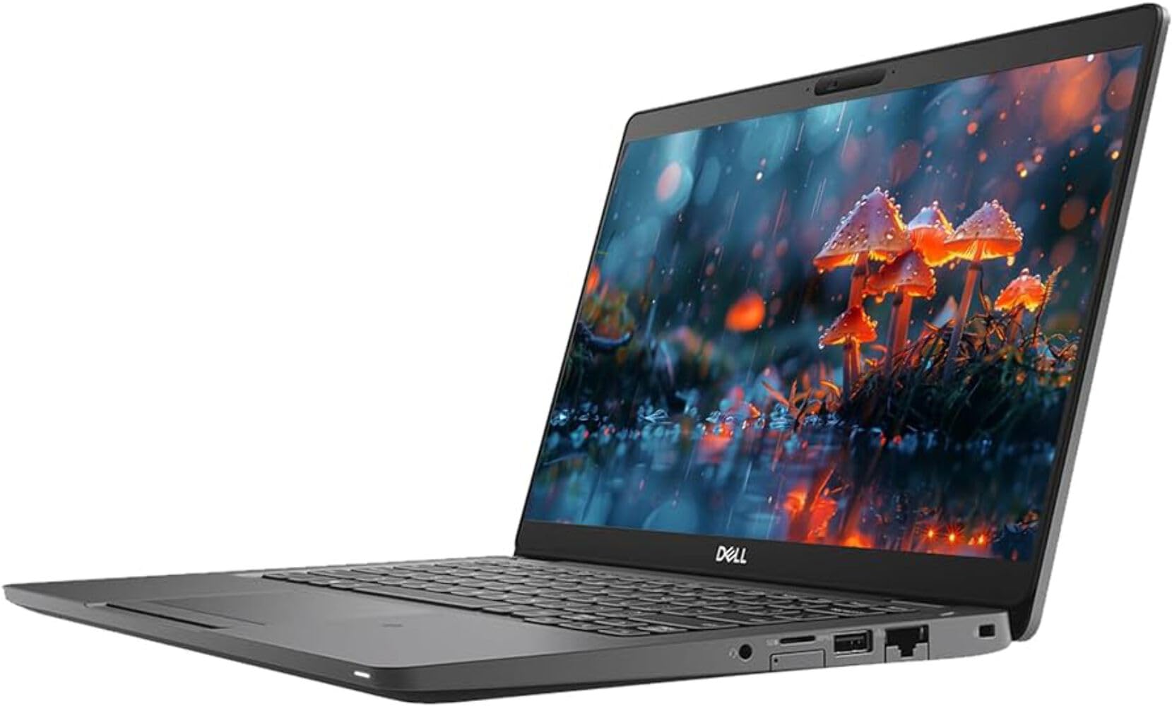 Amazon.com: Dell Latitude 5300 13.3