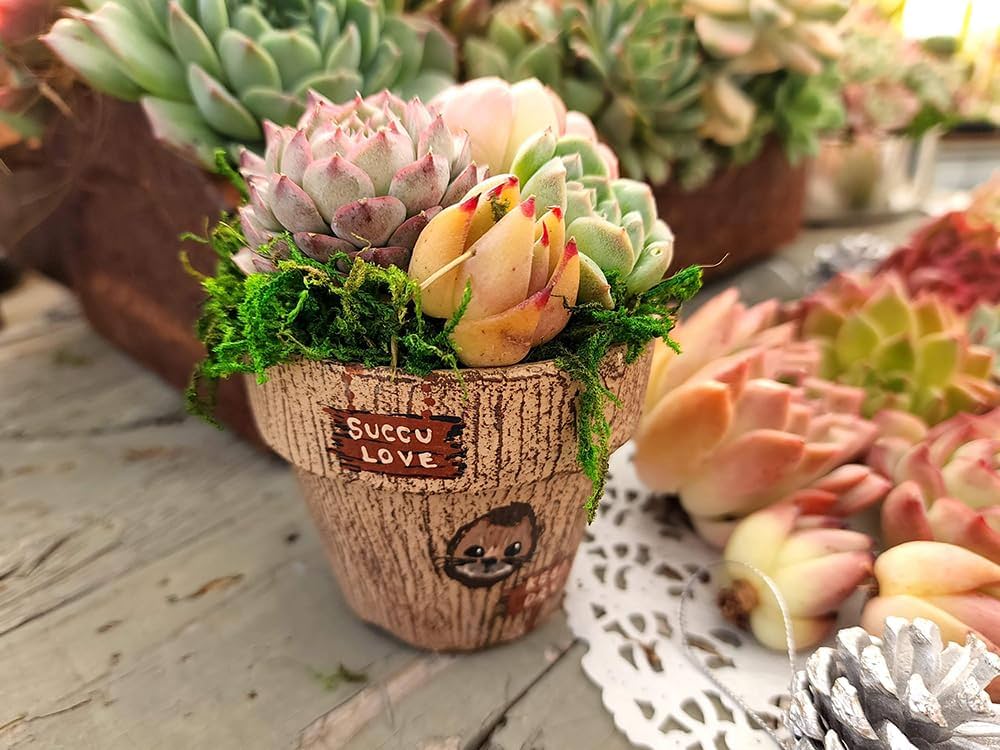 61gl+KltOfL._AC_UF1000,