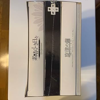 Amazon.co.jp: 素晴らしき日々不連続存在 10th Anniversary 版 : おもちゃ