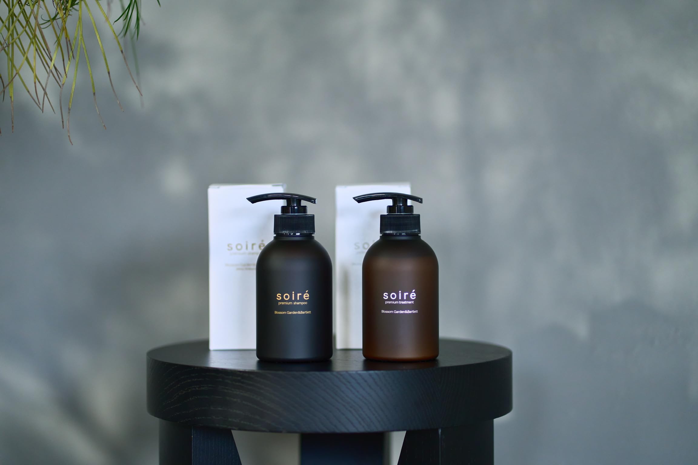 Amazon | 【公式】soiré プレミアムシャンプー&トリートメントセット