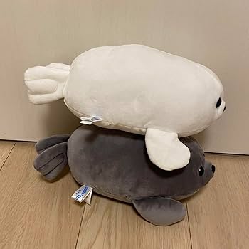 61iVgK6dvjL._AC_UF350,