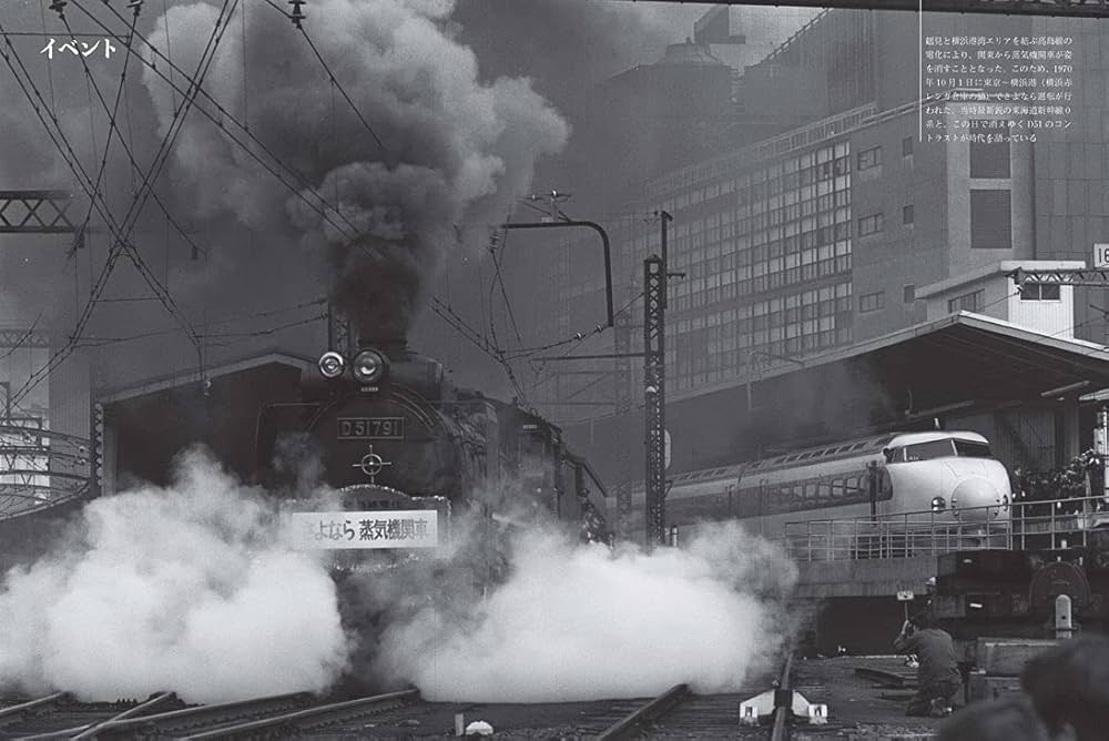 Amazon.co.jp: 国鉄 東京駅 大動脈の昭和史、変わりゆく駅の記録