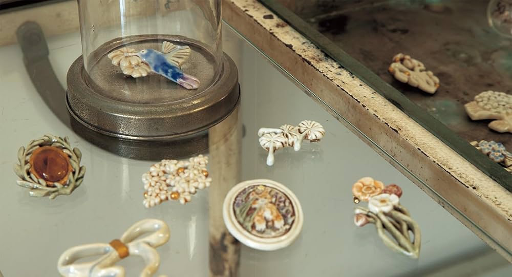 Amazon.co.jp: 小菅幸子 陶器の小さなブローチ : 小菅幸子: 本