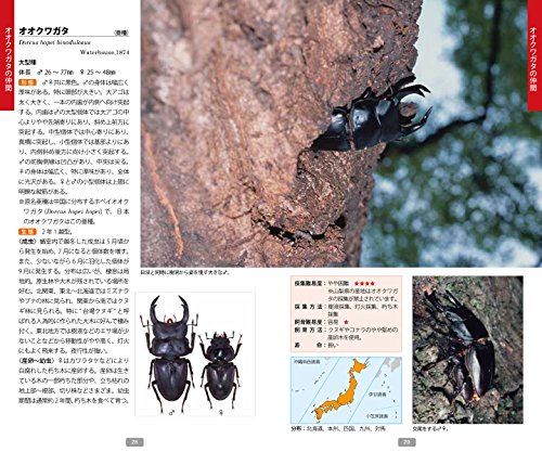 Amazon.co.jp: 吉田 賢治: 本、バイオグラフィー、最新アップデート