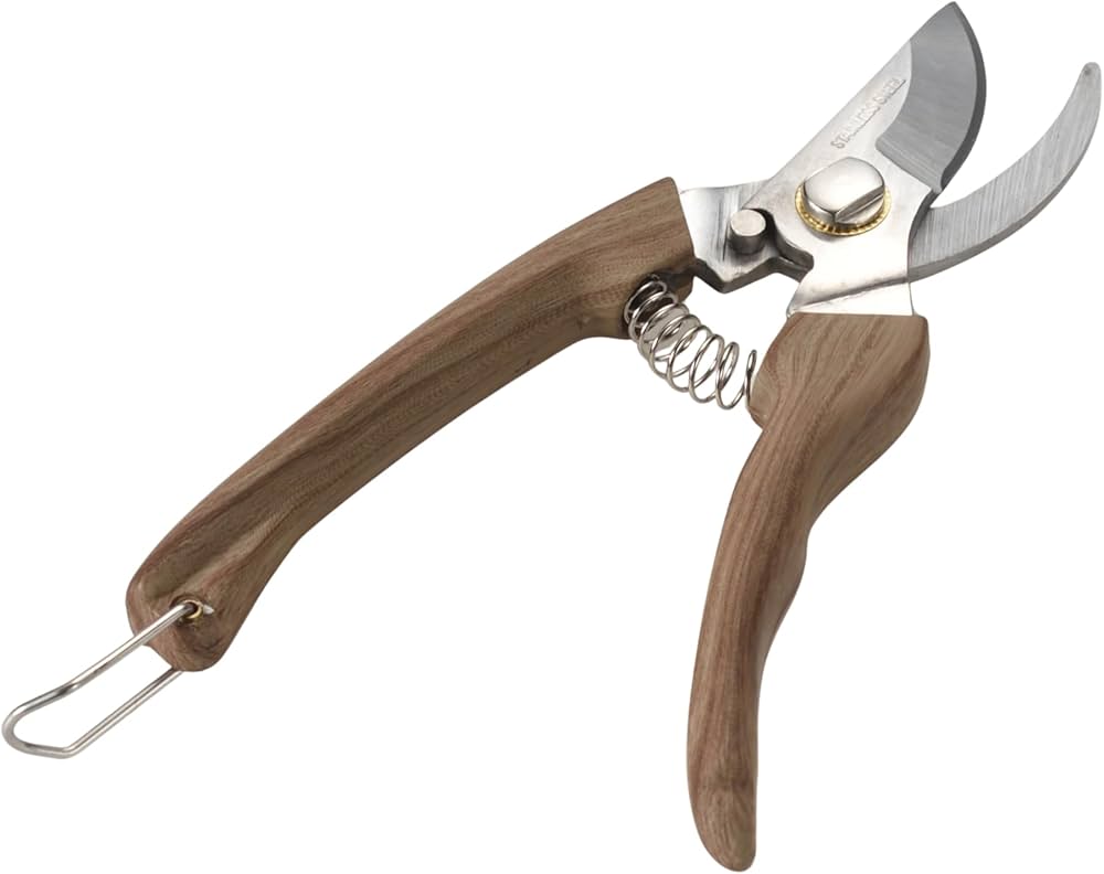 Amazon.co.jp: 高儀 ステンレス レディース 剪定鋏 165mm TAKAGI WOODY