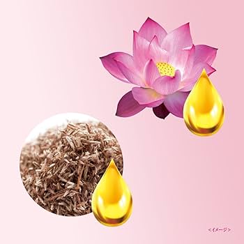 Amazon | ラックス ボディソープ シークレット グラマー つめかえ用