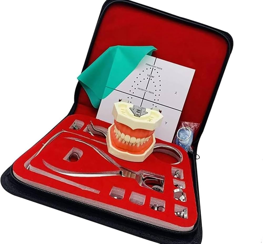 Amazon.co.jp: 歯科用歯内ラバーダムキット、ラバーダムパンチボード