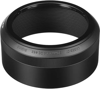 Amazon.com : Sigma 30mm F1.4 Art DC HSM Lens for Nikon : Digital