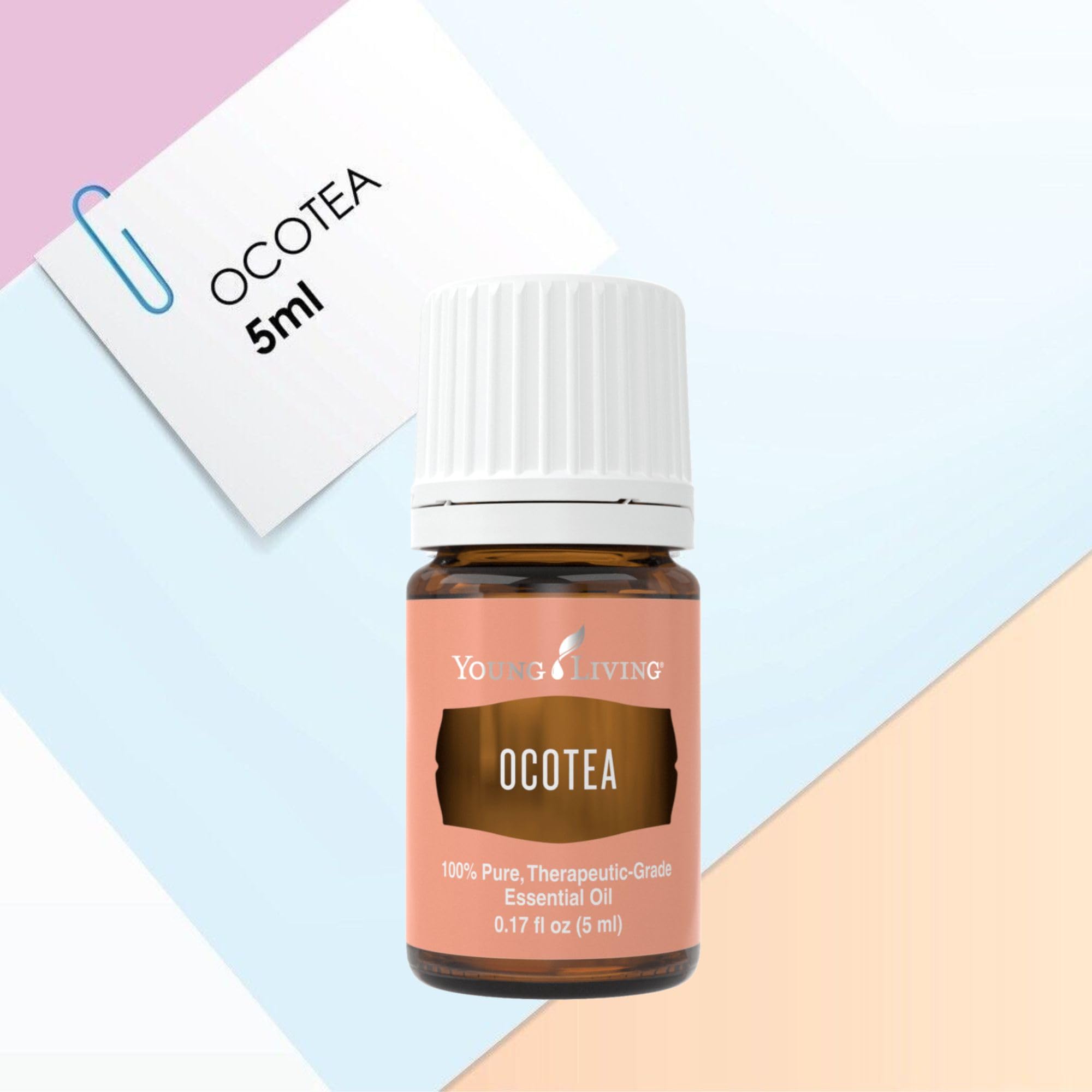 Amazon.com: Young Living - Ocotea Essential Oil 5 ml | Used