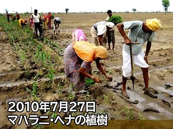 Amazon.co.jp: マハラニ ヘナ 石臼挽き 真空パック (100g)JOCA推奨品