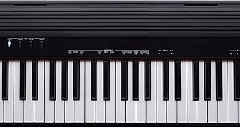 Amazon | ローランド Roland GO-88P GO:PIANO88 エントリーキーボード