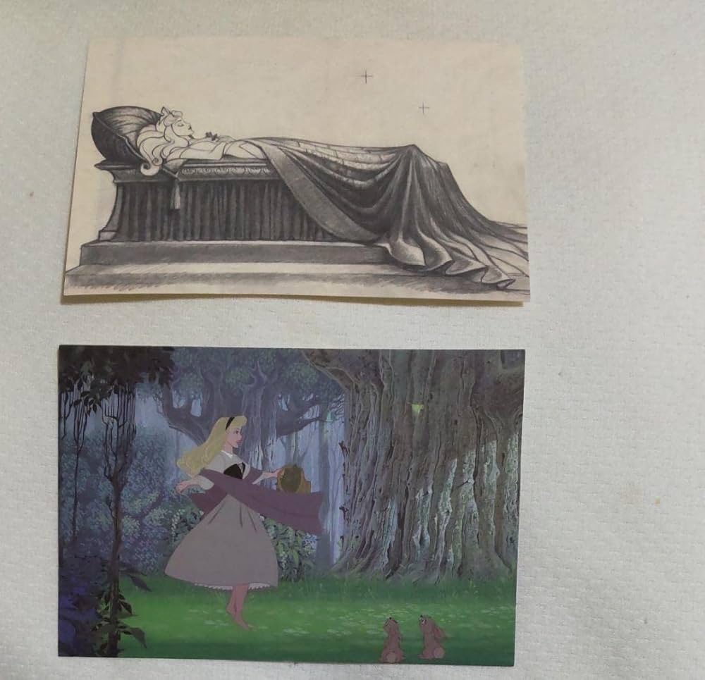 Amazon | 眠れる森の美女 ポストカード アート展 オーロラ姫 原画風